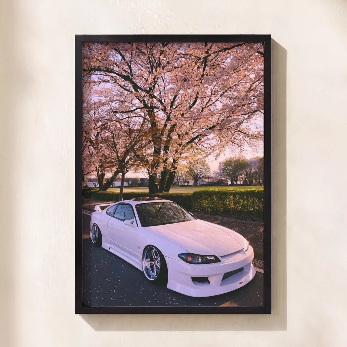 Sakura Drift