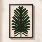 Fern