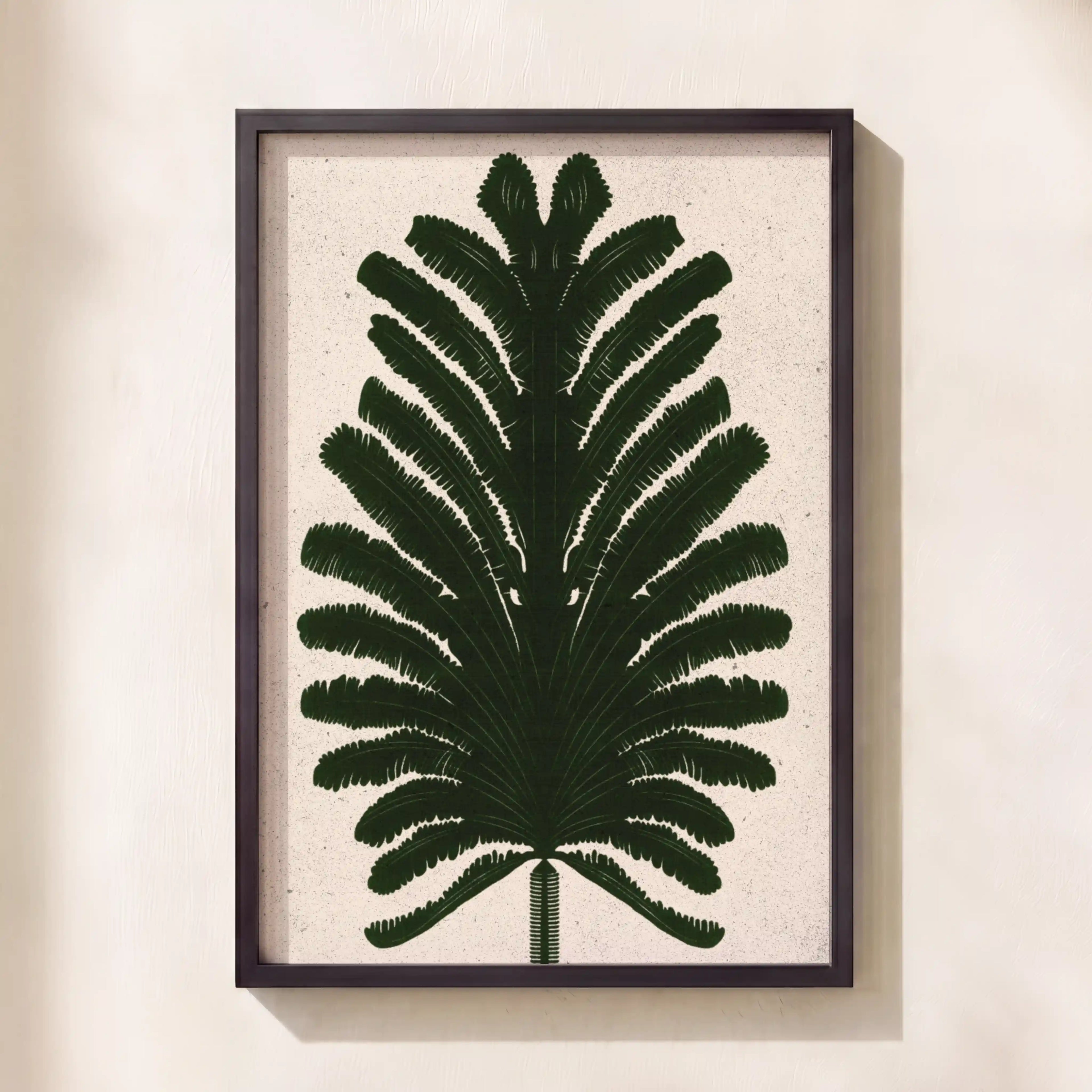 Fern
