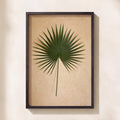 Palm Leaf