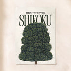 The Shikoku Tree