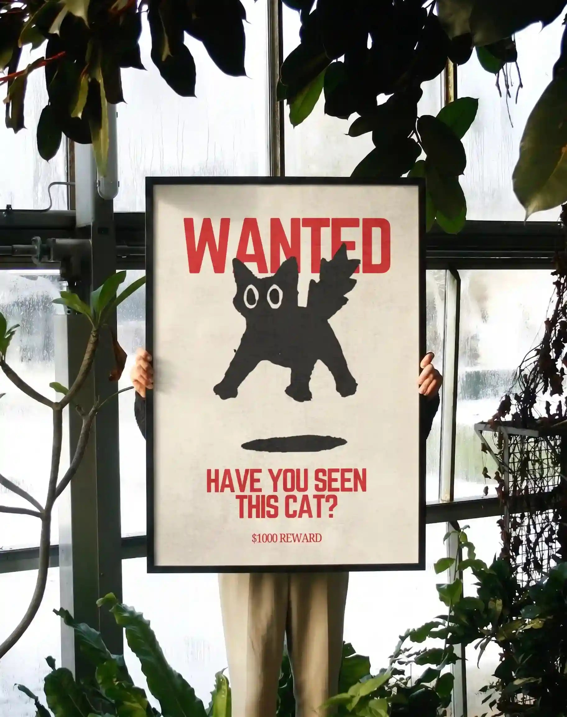 Have You Seen This Cat?