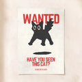 Have You Seen This Cat?