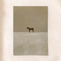 The Standalone Stallion