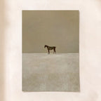 The Standalone Stallion