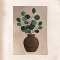 Eucalyptus in Clay