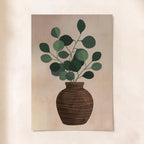 Eucalyptus in Clay