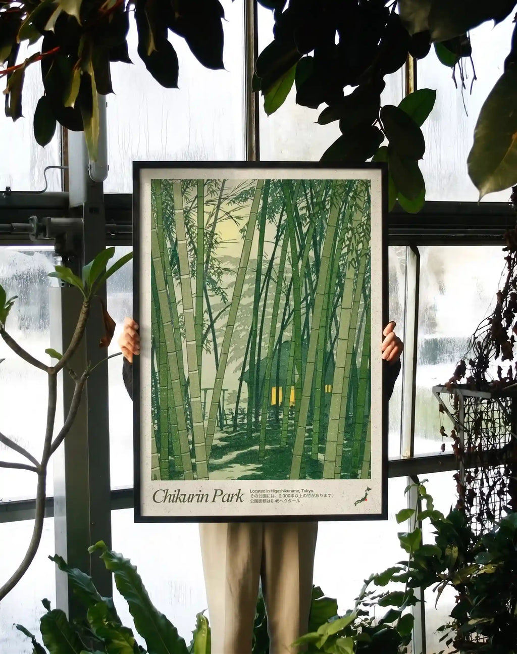 The Bamboo Forest