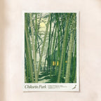 The Bamboo Forest