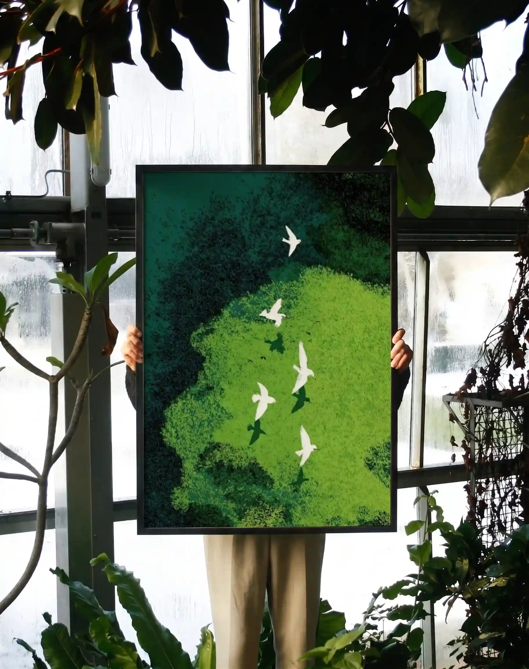 Birds in Flight