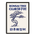Bonsai