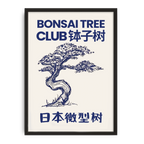 Bonsai