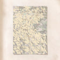 Dappled Light