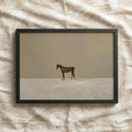 The Solitary Stallion