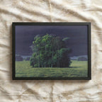 The Isolated Grove