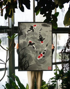 Koi Fish