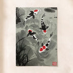 Koi Fish
