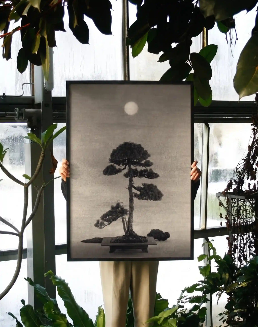 The Midnight Garden