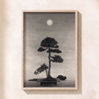 The Midnight Garden
