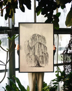 Botanical Willow Tree