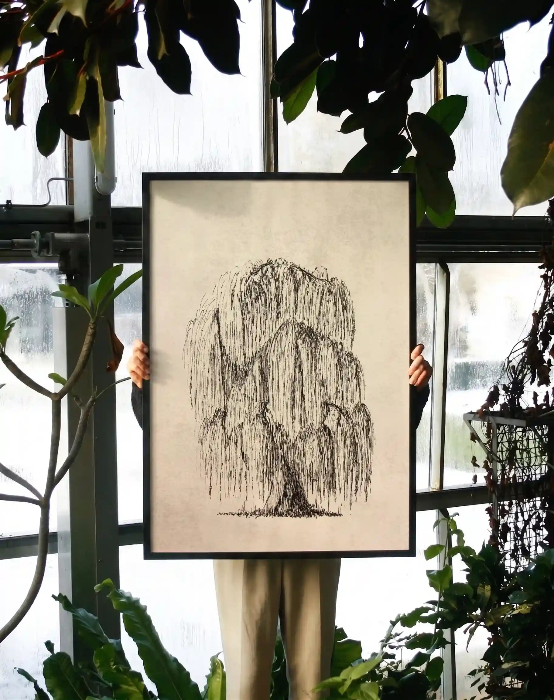 Botanical Willow Tree