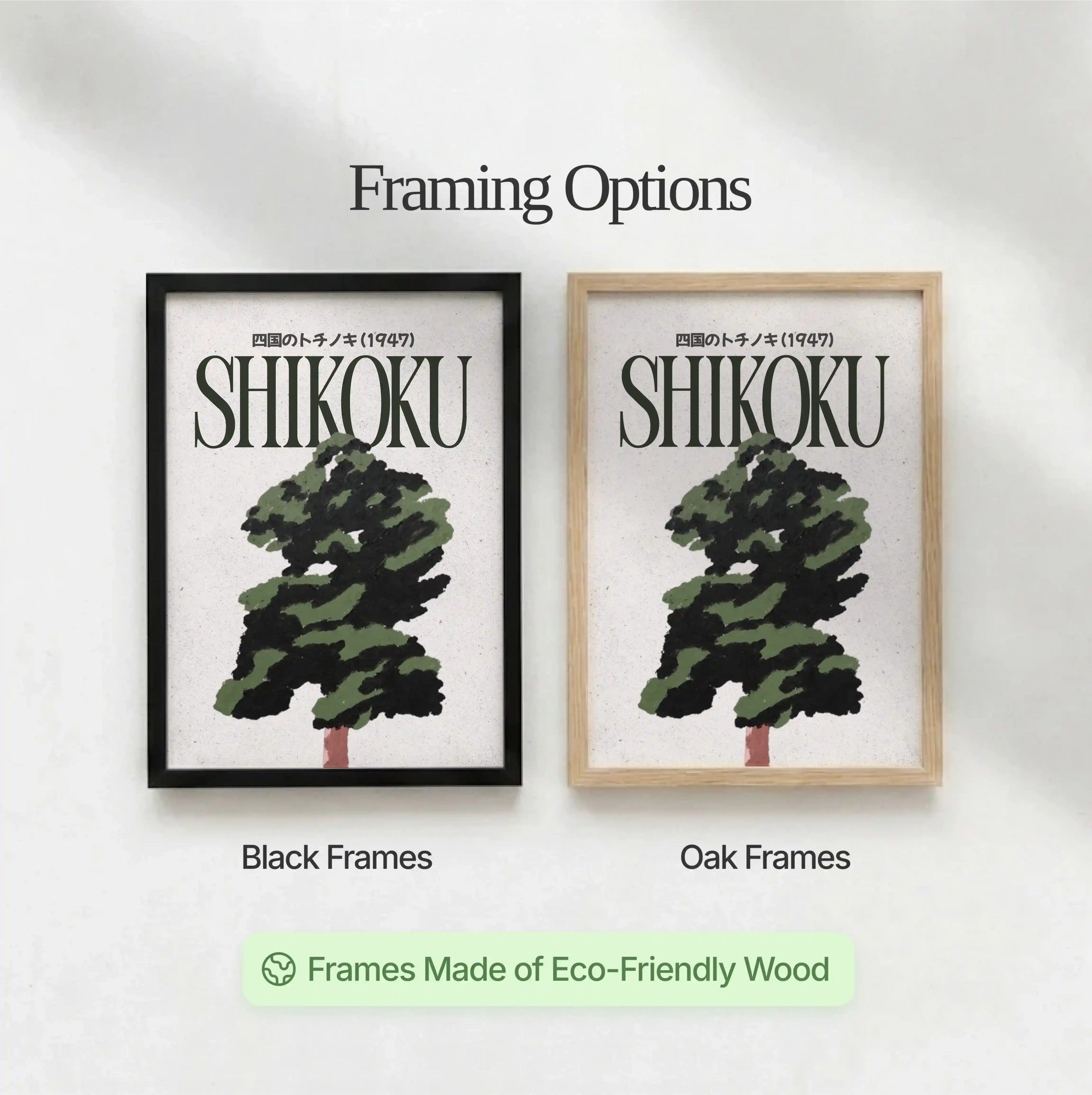 The Forest at Shikoku