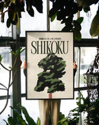 The Forest at Shikoku