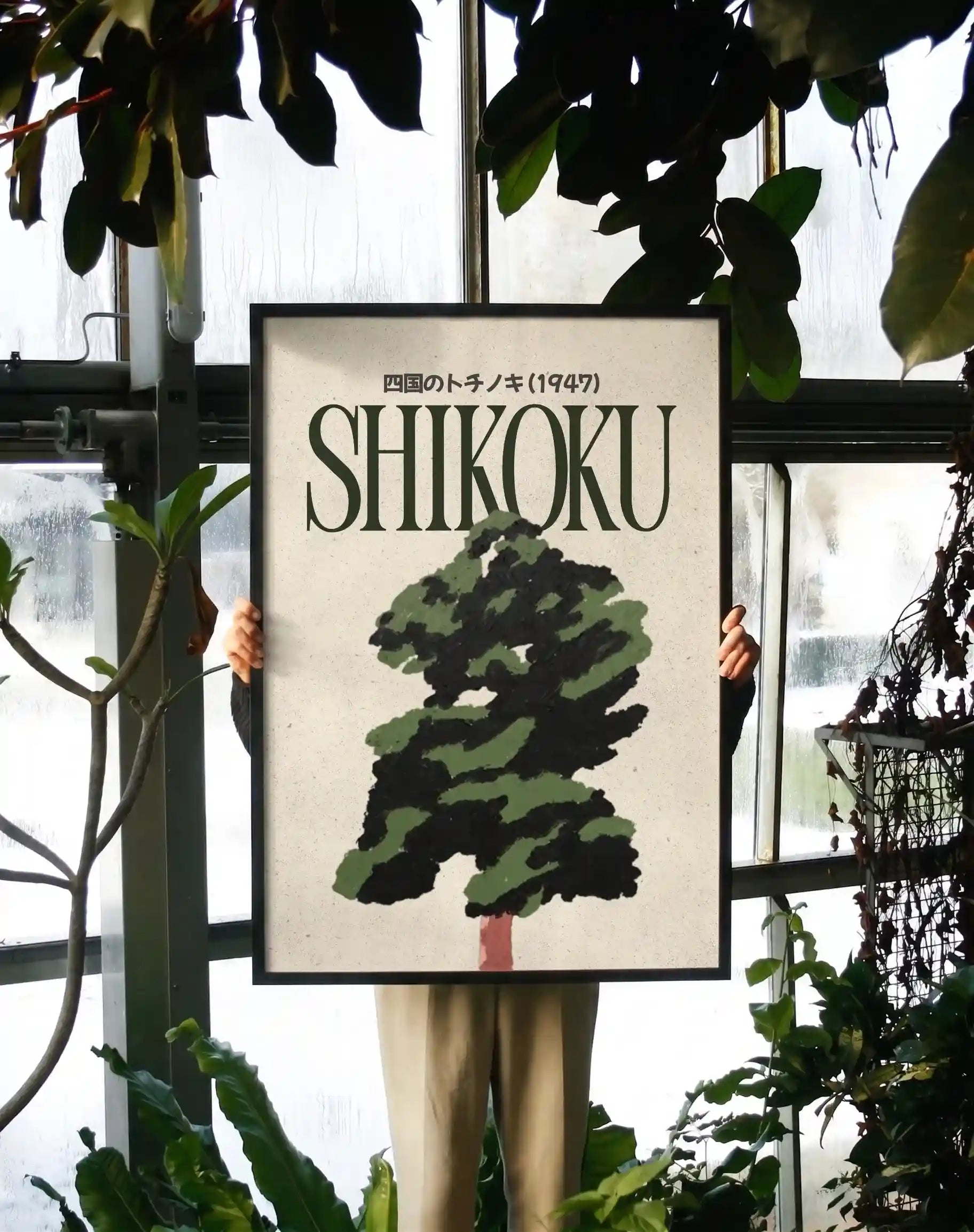 The Forest at Shikoku
