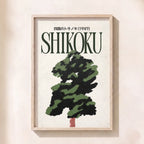 The Forest at Shikoku