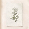 The Meadow Print
