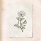 The Meadow Print