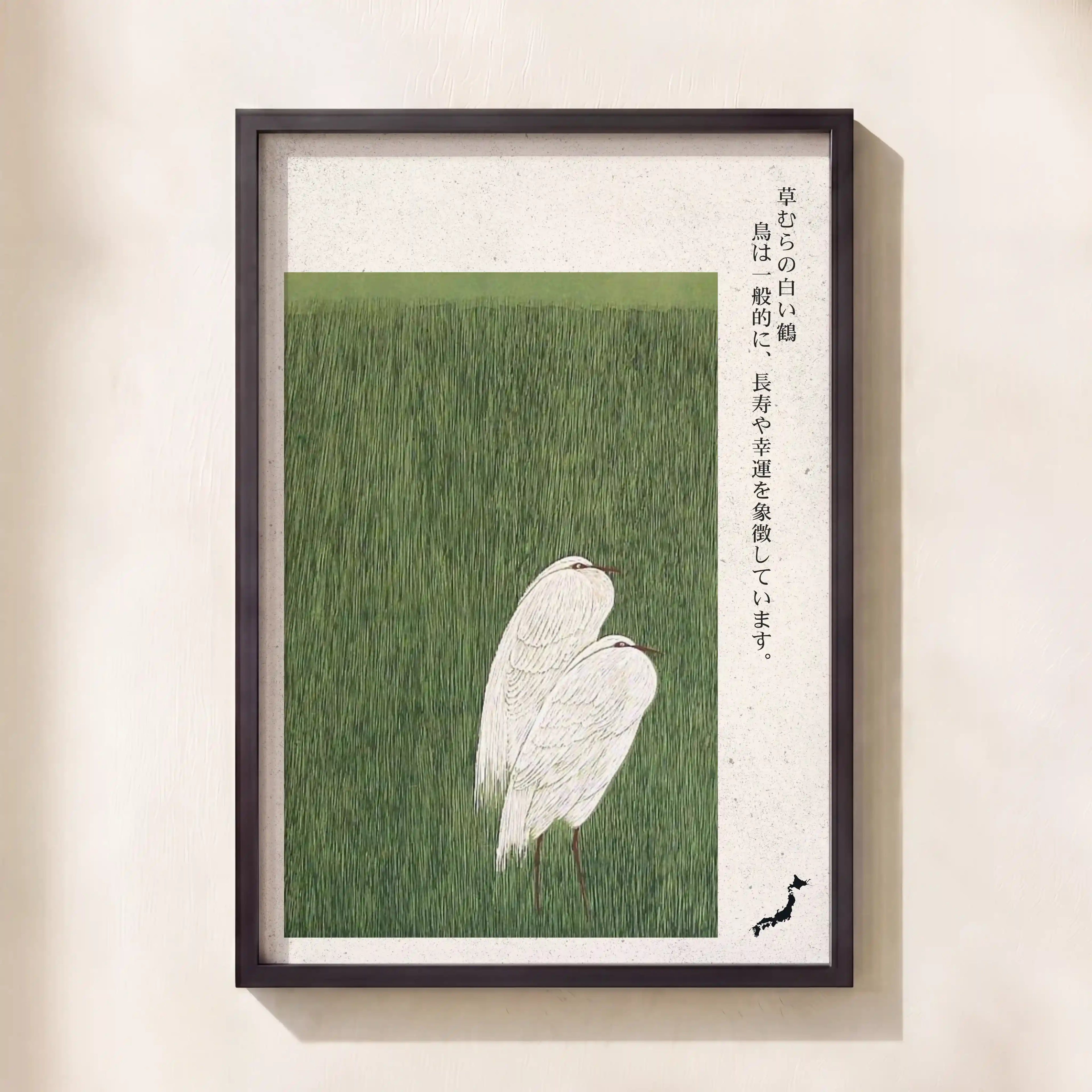 Cranes in Grass