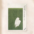 Cranes in Grass