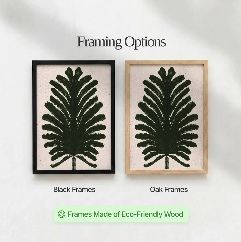 Fern
