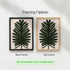 Fern