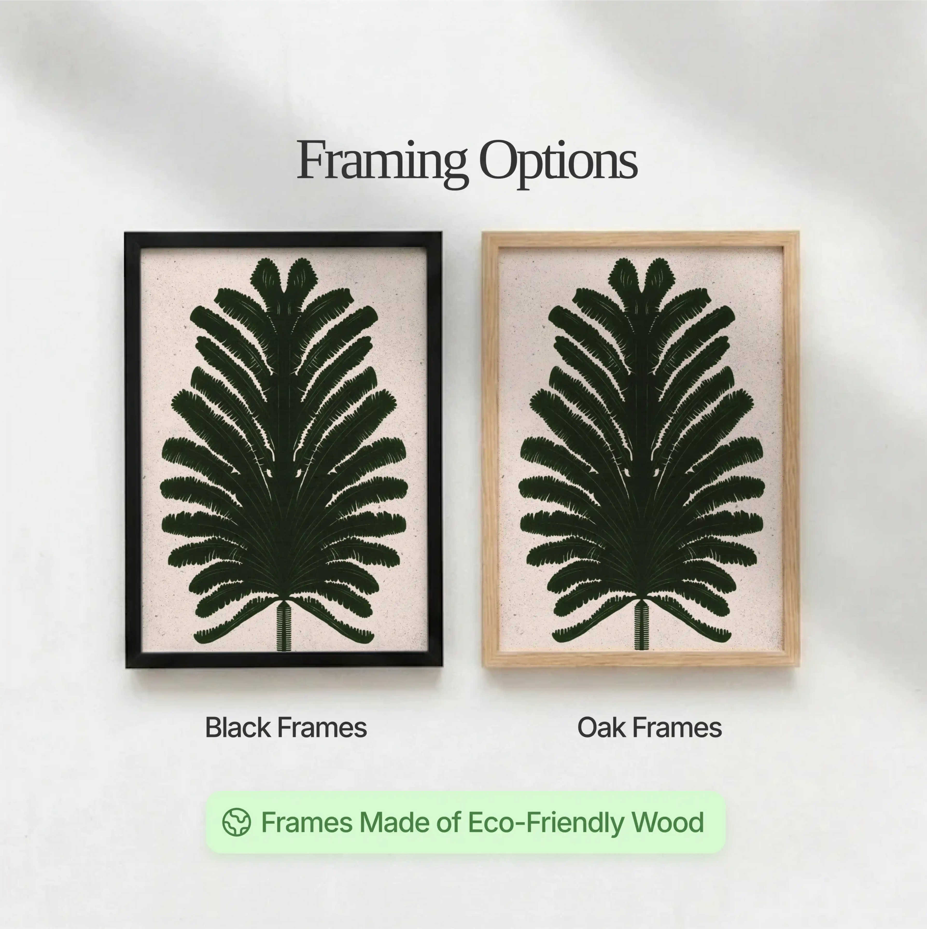 Fern