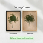 Palm Leaf
