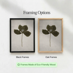 Lotus Leaf