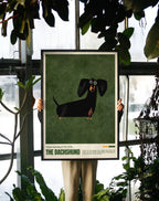 Dachshund Love