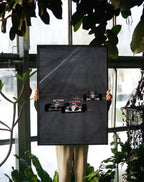 F1 Race
