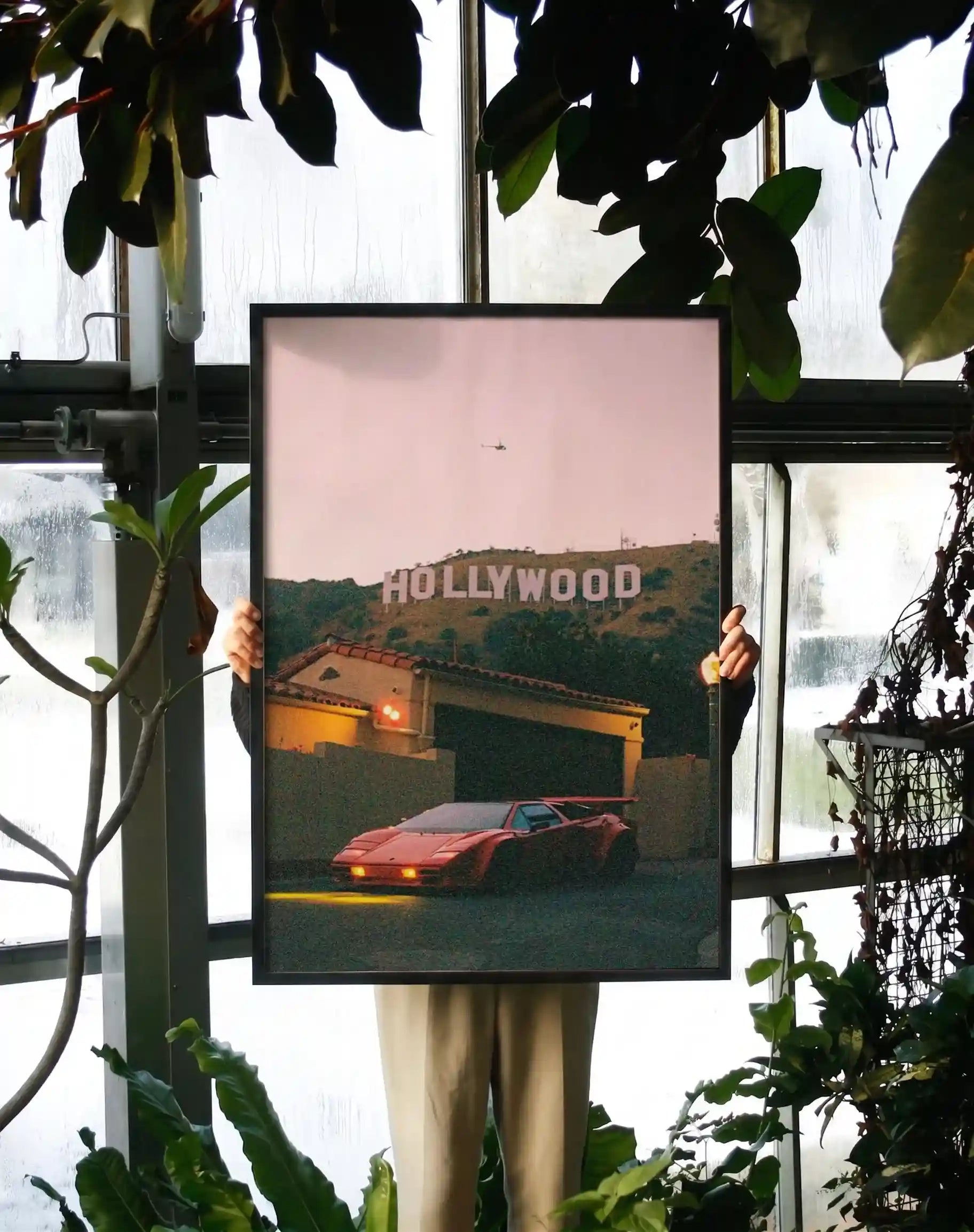 Hollywood Nights