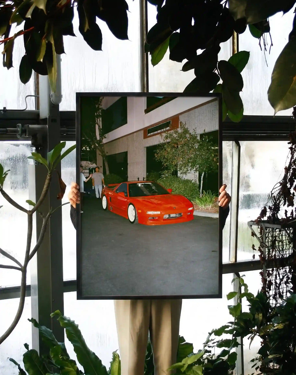 Disposable Dreams