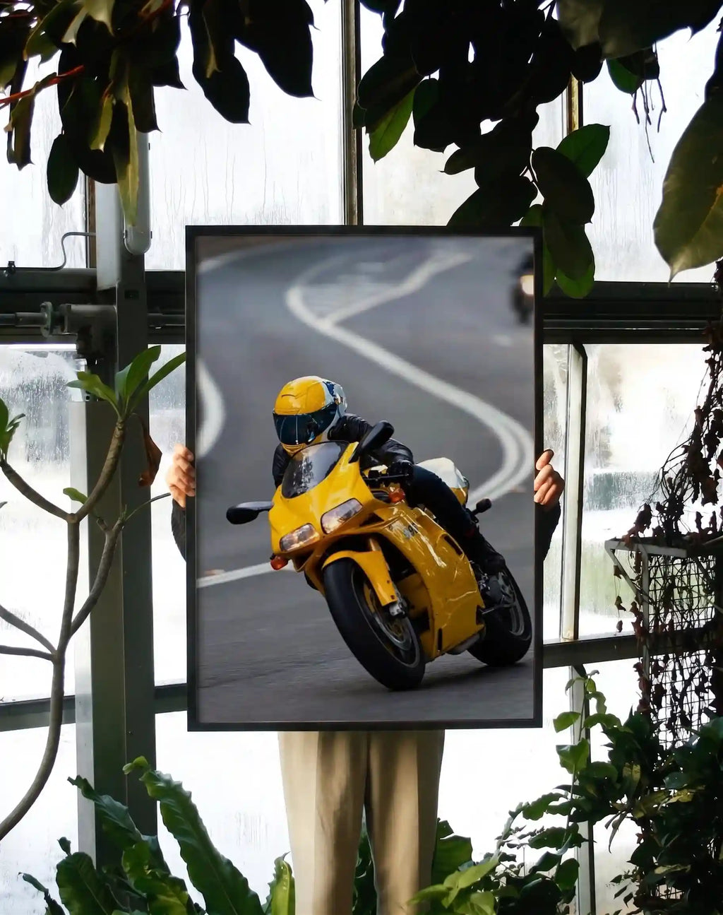 The Asphalt Hornet