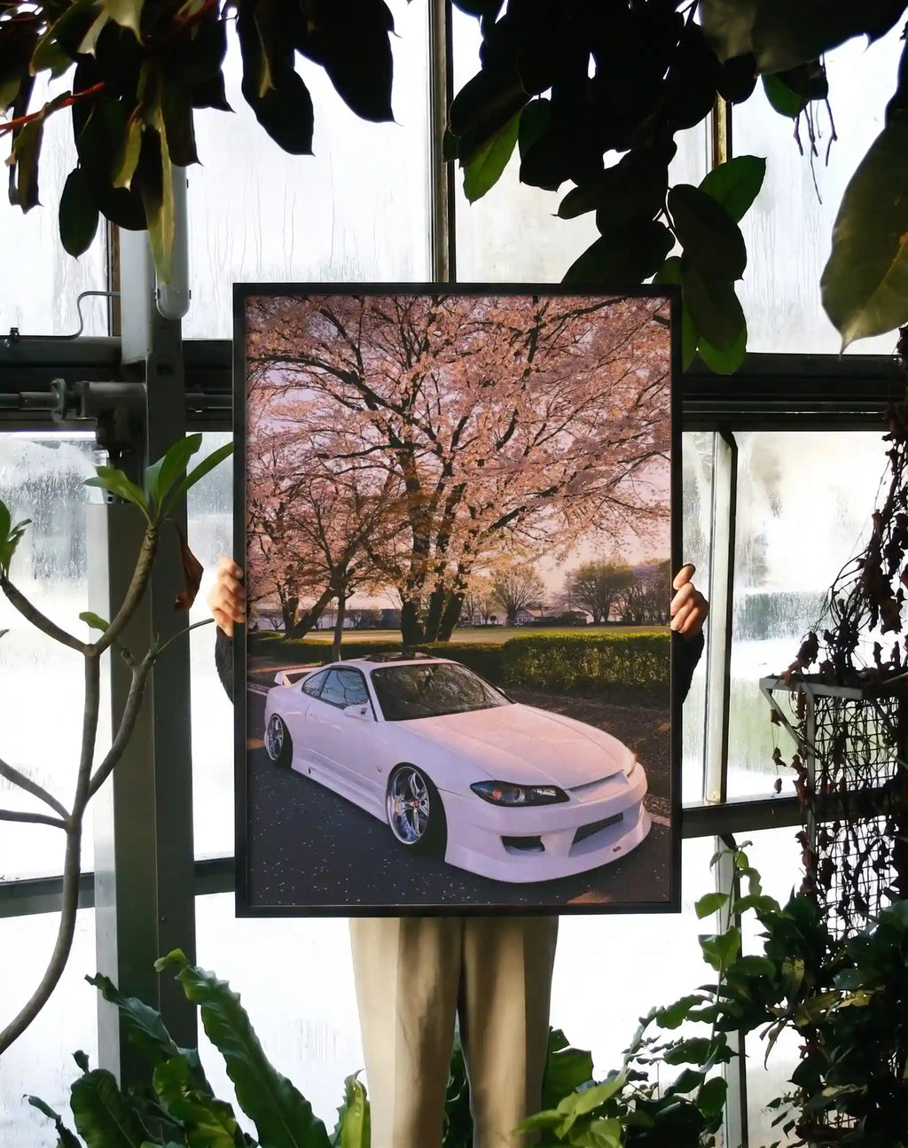 Sakura Drift