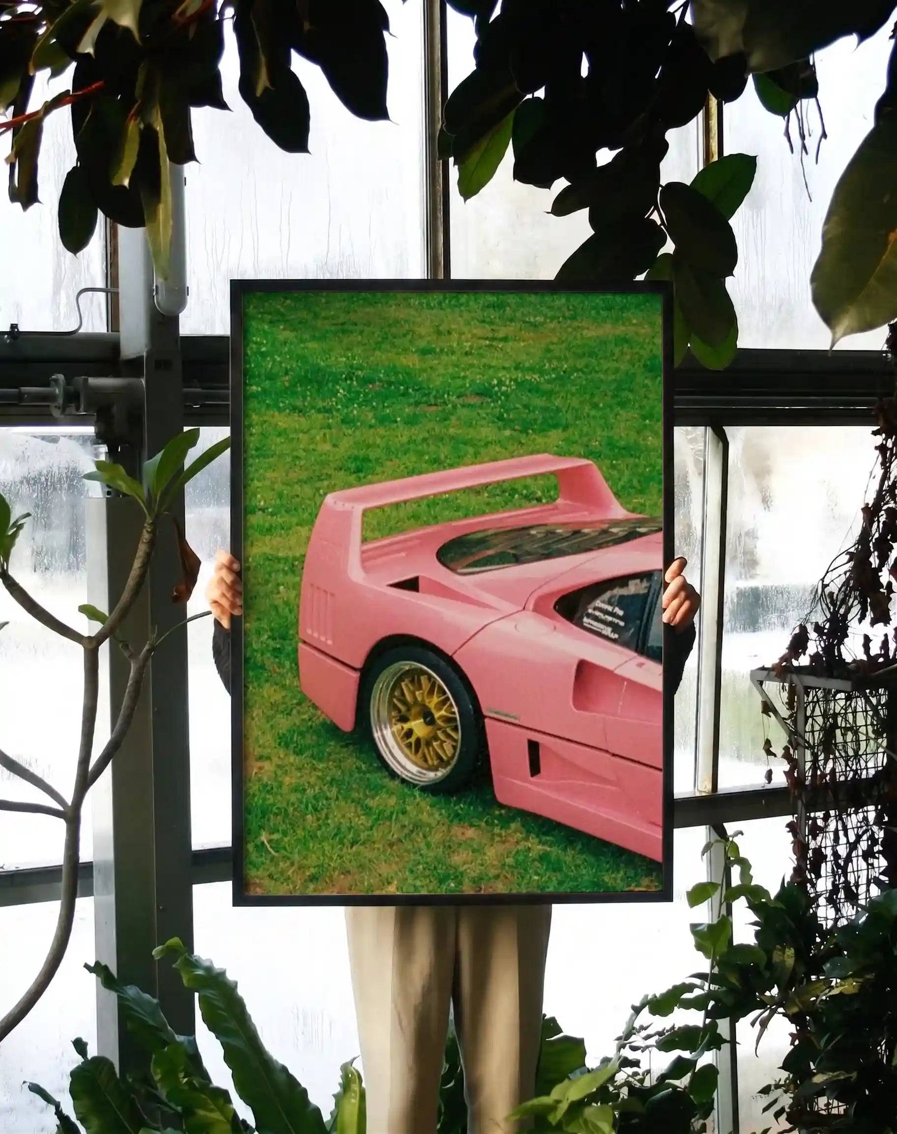 Blossom & Widebody