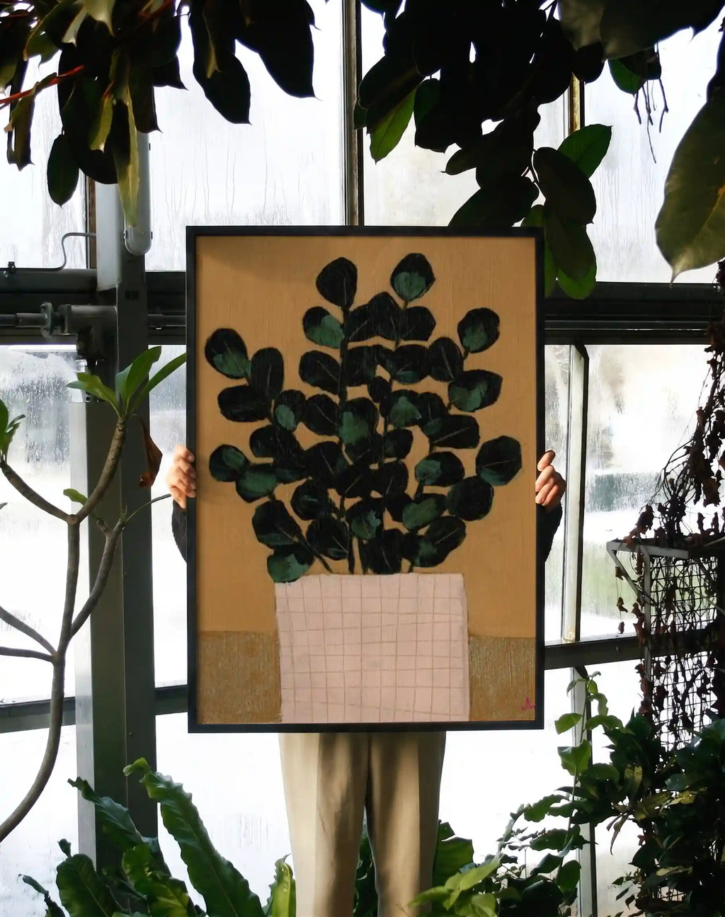 House Plant (i)