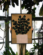 House Plant (i)