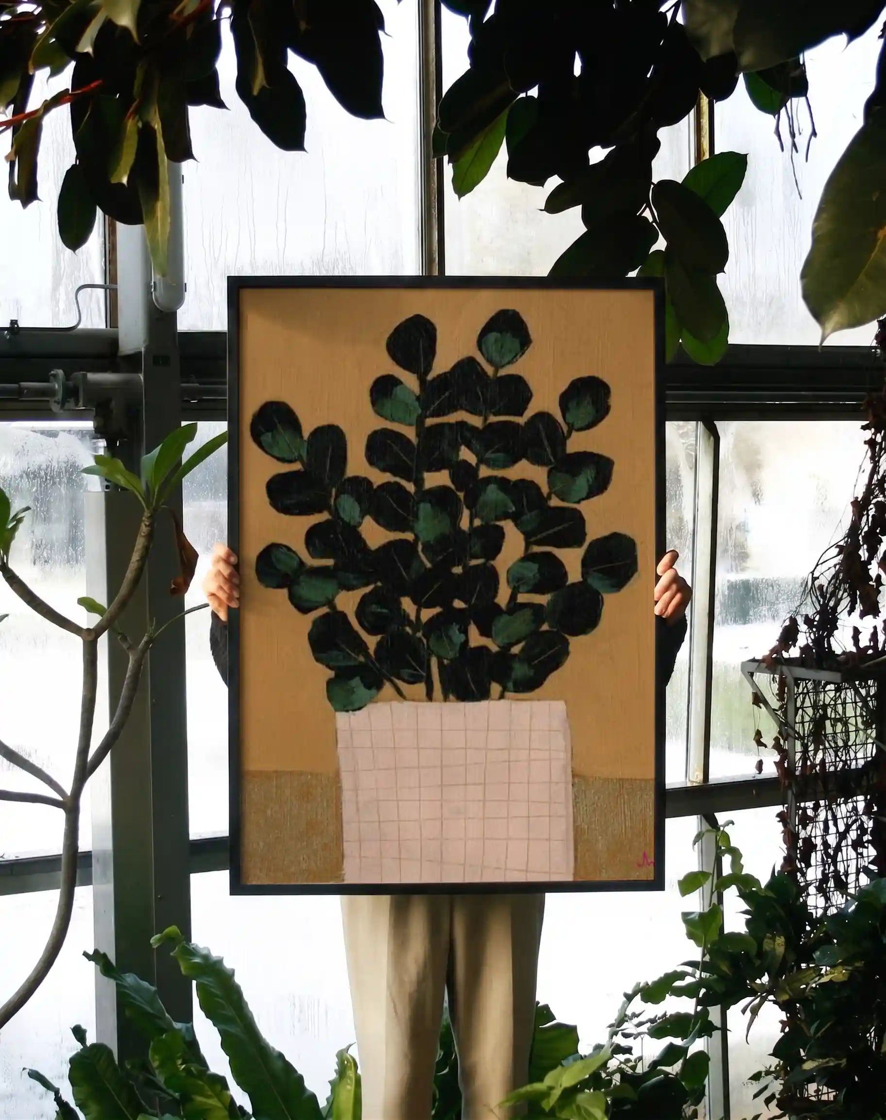 House Plant (i)