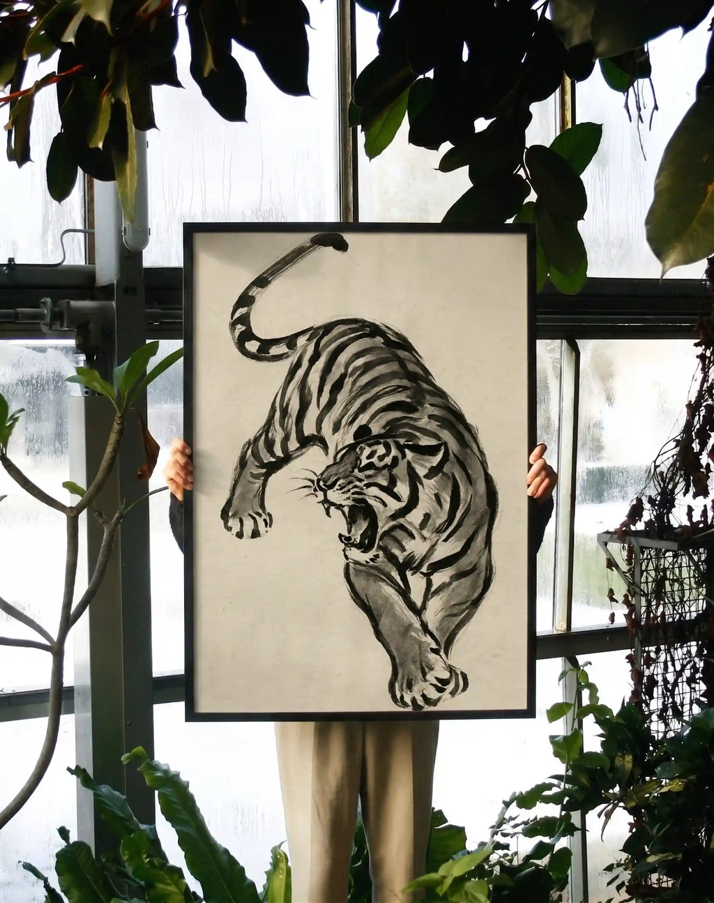 Japanese Tiger