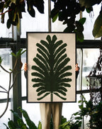 Fern
